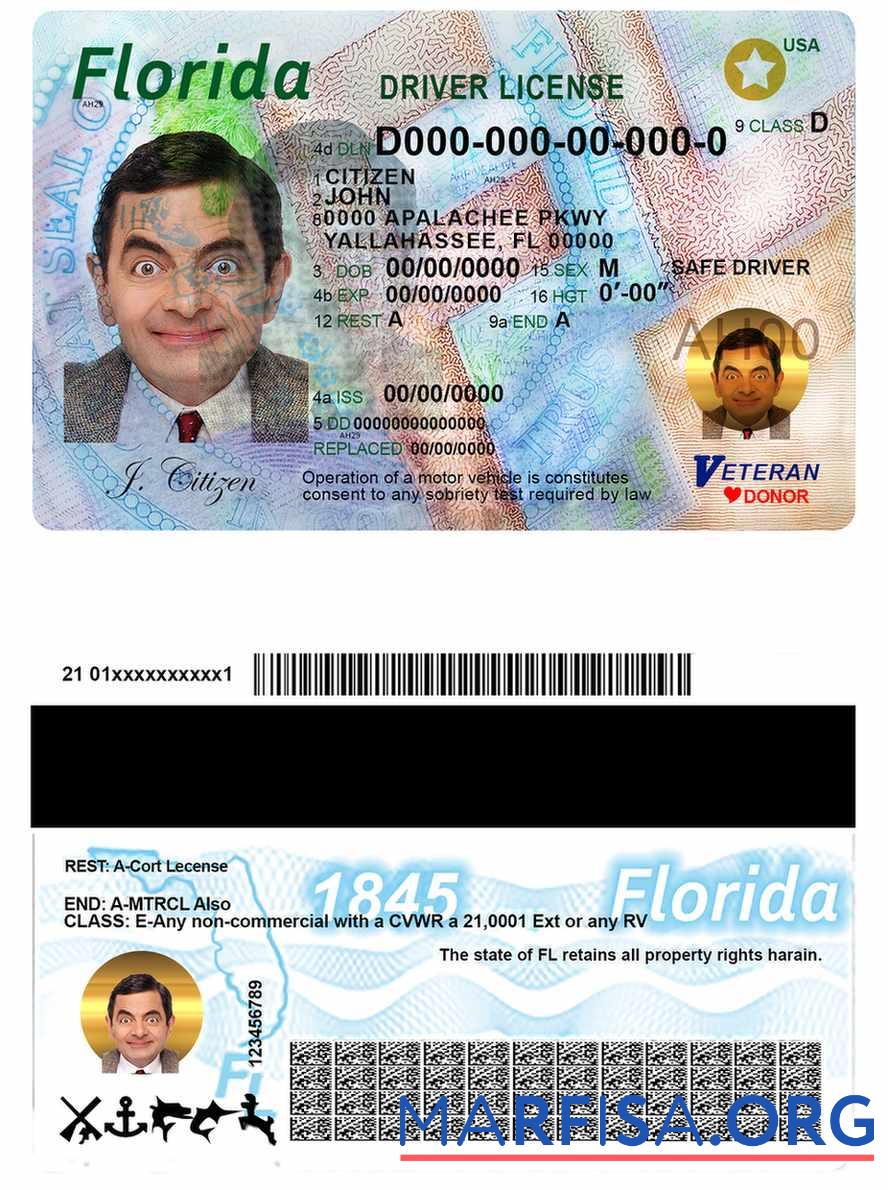 Downloadable USA Florida driving license download for verification
